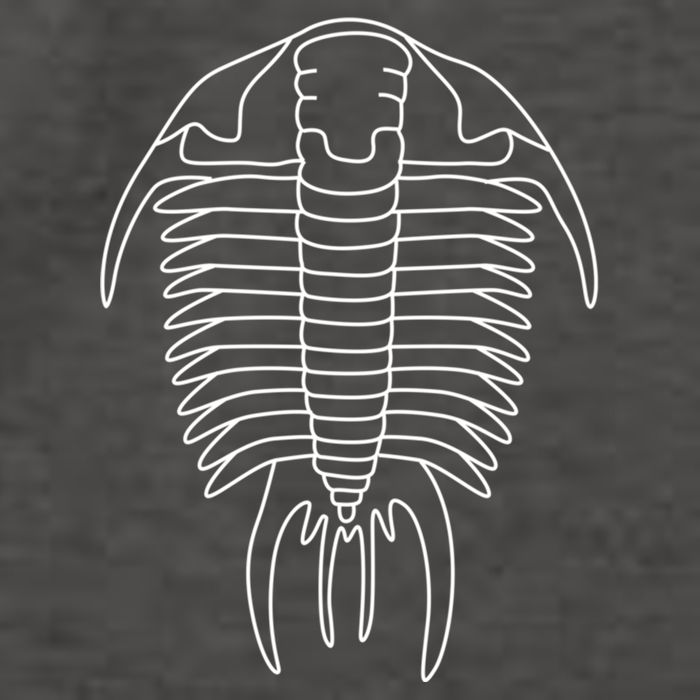 Trilobite Geology Geologist Fossil Collector Hunting Cool Gift Vector Backpack