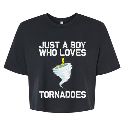 Tornado Gift Hurricane Weather Chaser Bella+Canvas Jersey Crop Tee