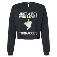 Tornado Gift Hurricane Weather Chaser Cropped Pullover Crew