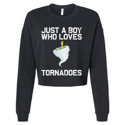 Tornado Gift Hurricane Weather Chaser Cropped Pullover Crew