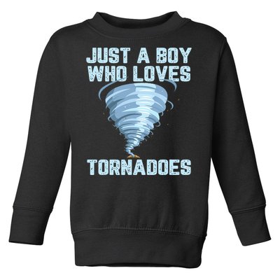 Tornado Gift Hurricane Weather Chaser Toddler Sweatshirt