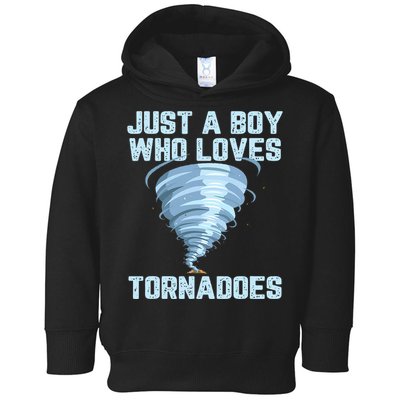 Tornado Gift Hurricane Weather Chaser Toddler Hoodie