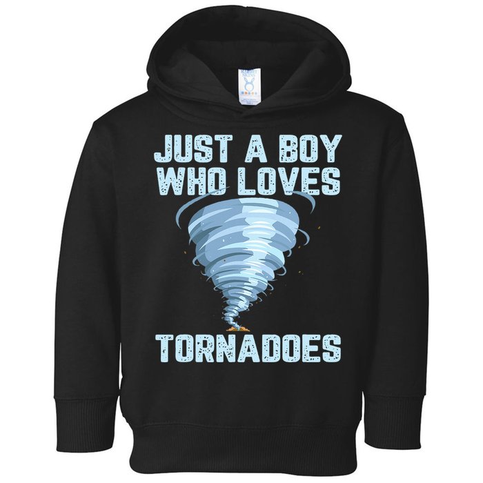 Tornado Gift Hurricane Weather Chaser Toddler Hoodie