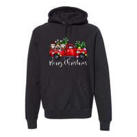 Three Gnomes In Red Truck Merry Christmas Tree Light Gnomies Premium Hoodie