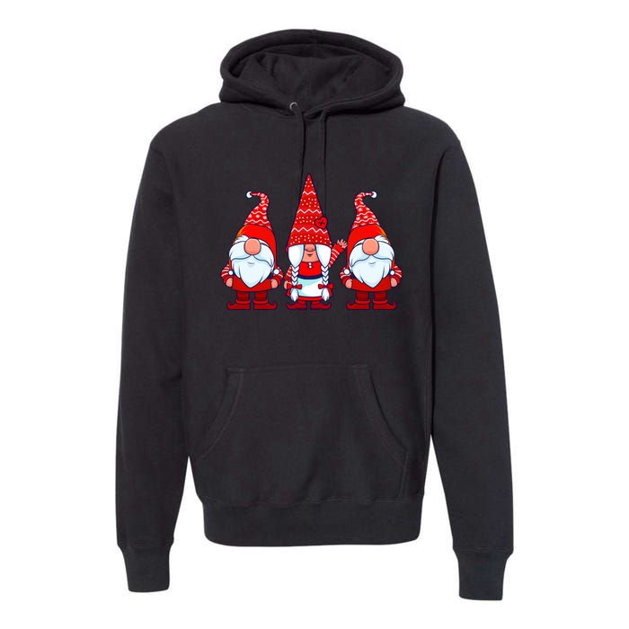 Three Gnomes In Red Costume Christmas Cute Holiday Xmas Gift Premium Hoodie