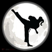 Taekwondo Girl In The Moon Tee Wool Snapback Cap