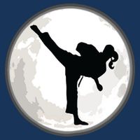 Taekwondo Girl In The Moon Tee Flatbill Hat