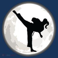 Taekwondo Girl In The Moon Tee Poster