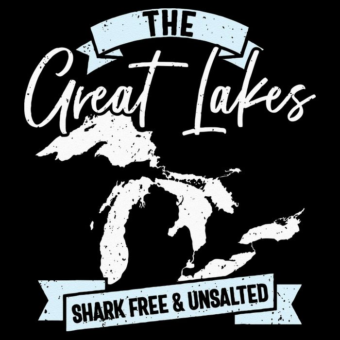 The Great Lakes Michigan Great Lakes Tourist Cooling Performance Crew T-Shirt