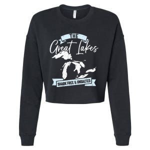 The Great Lakes Michigan Great Lakes Tourist Cropped Pullover Crew