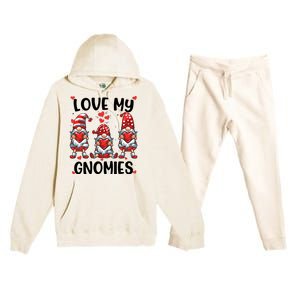 Three Gnome Love Valentines Day Love My Gnomies Mom Premium Hooded Sweatsuit Set