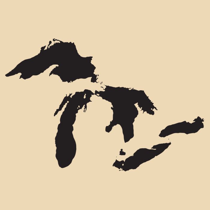 The Great Lakes Detroit Michigan T Bag