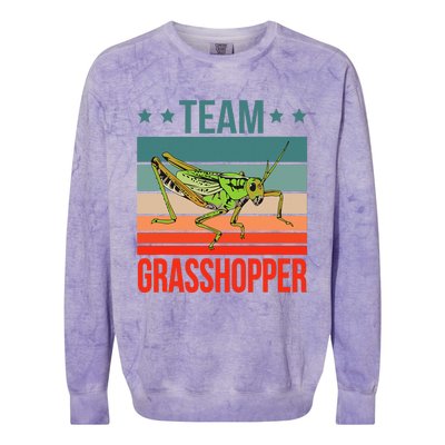 Team Grasshopper Locust Entomologist Insect Grasshopper Colorblast Crewneck Sweatshirt