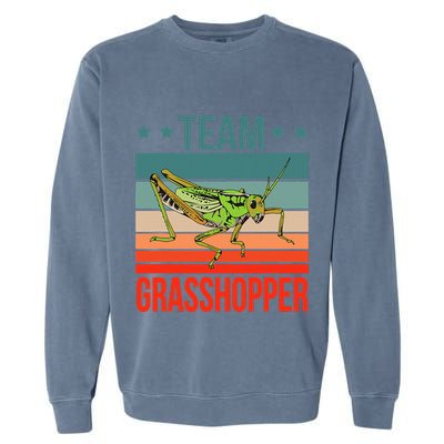 Team Grasshopper Locust Entomologist Insect Grasshopper Garment-Dyed Sweatshirt