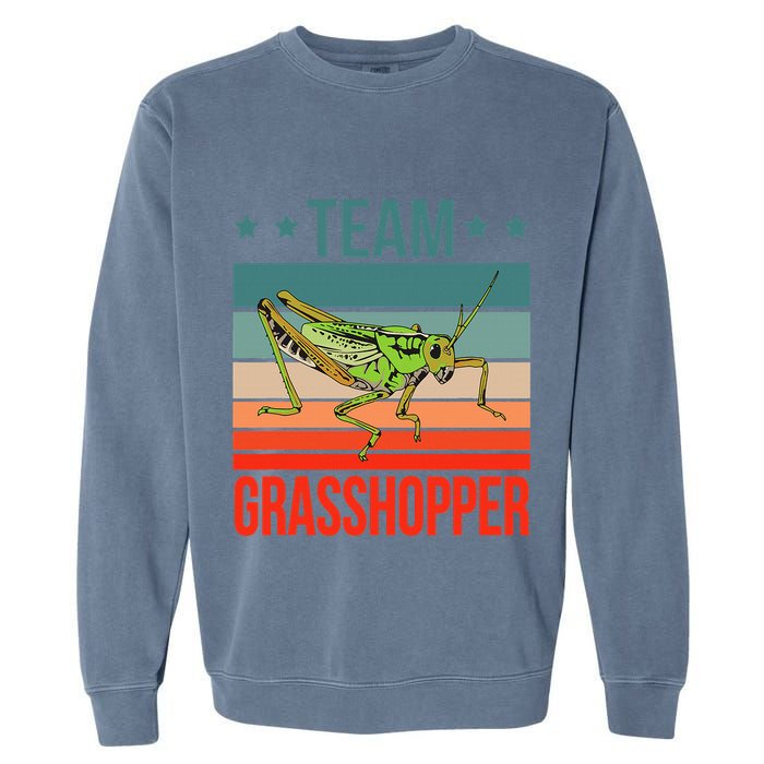 Team Grasshopper Locust Entomologist Insect Grasshopper Garment-Dyed Sweatshirt