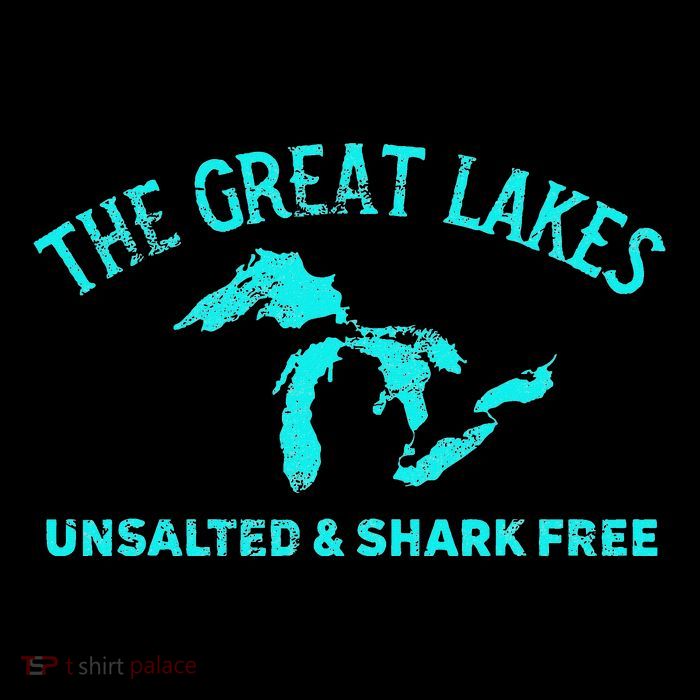 The Great Lakes Unsalted & Shark Free Michigan Gift Vintage Kids T-Shirt