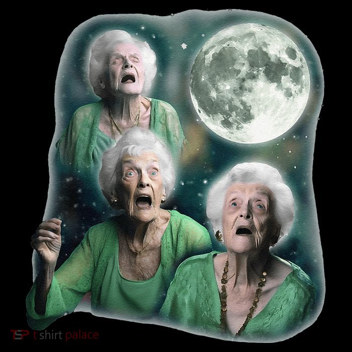 Three Granny Moon 3 Old Ladys Howling Weird Cursed Meme Youth Performance Sprint T-Shirt