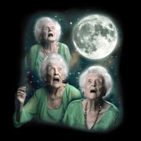 Three Granny Moon 3 Old Ladys Howling Weird Cursed Meme Stripe Pom Pom Beanie