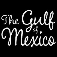 The Gulf Of Mexico Gift 16 in Basic Backpack