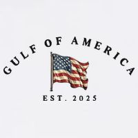 The Gulf Of America 11oz C Handle Ceramic Mug