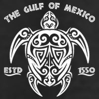 The Gulf of Mexico ESTD 1550 Turtle Adult Drive Performance Visor