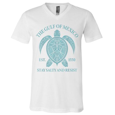the Gulf of Mexico turtle V-Neck T-Shirt