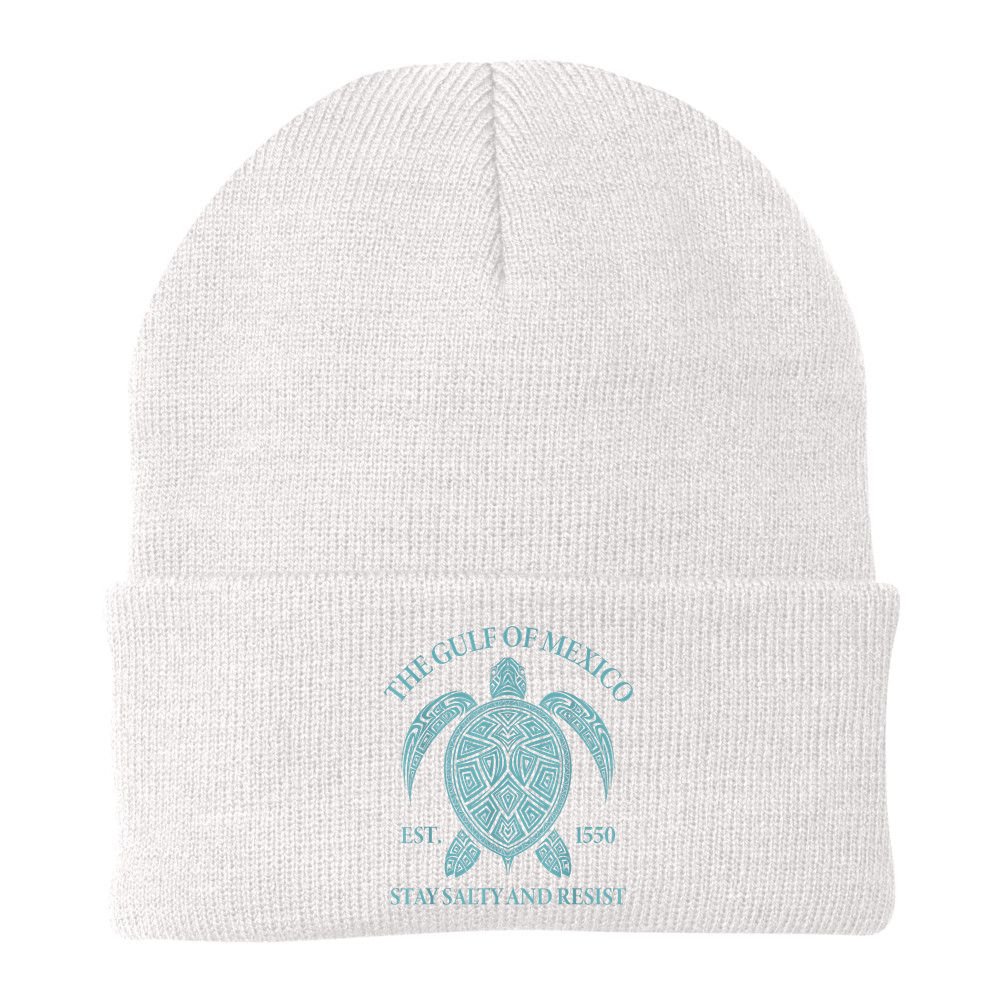 the Gulf of Mexico turtle Beanie