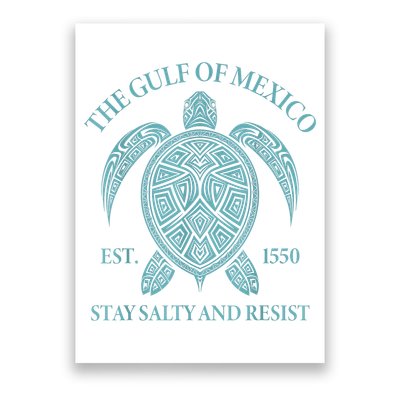 the Gulf of Mexico turtle Poster