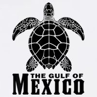 The Gulf Of Mexico Sea Turtle Beach Poster
