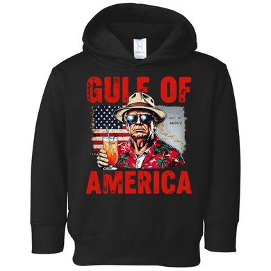 Trump Gulf Of Usa America Funny Gulf Of Mexico Usa Flag Map Toddler Hoodie