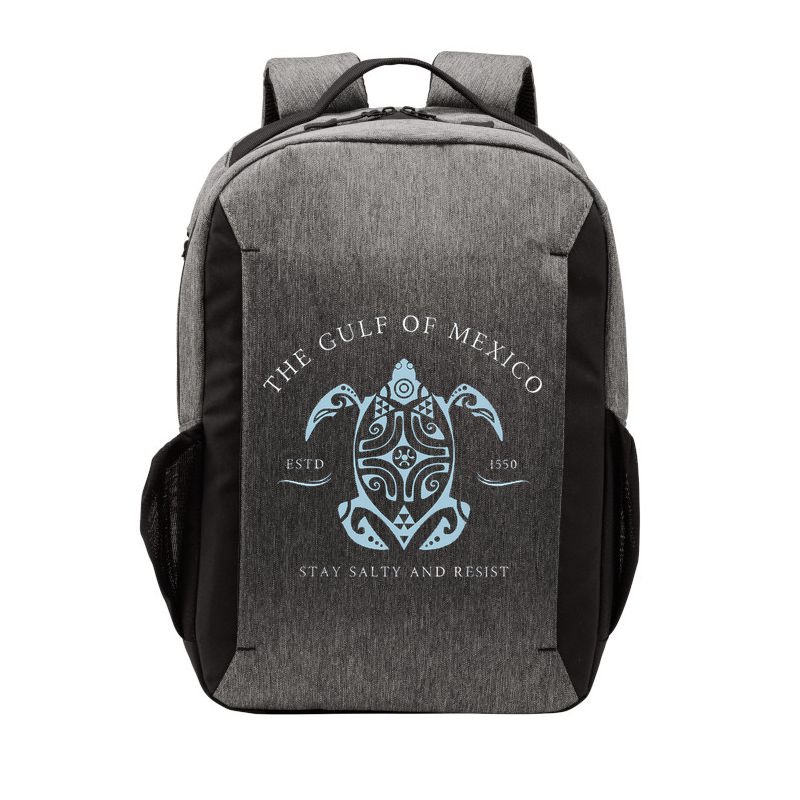 The Gulf Of Mexico Estd 1550 Stay Salty And Resist Vector Backpack