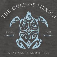 The Gulf Of Mexico Estd 1550 Stay Salty And Resist Vector Backpack