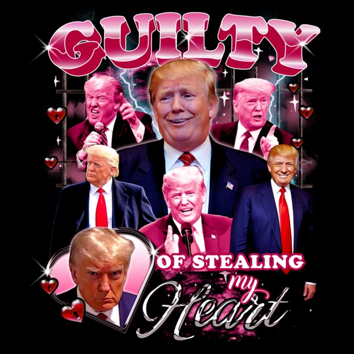 Trump Guilty Of Stealing My Heart Funny Donald Trump Lover T-Shirt