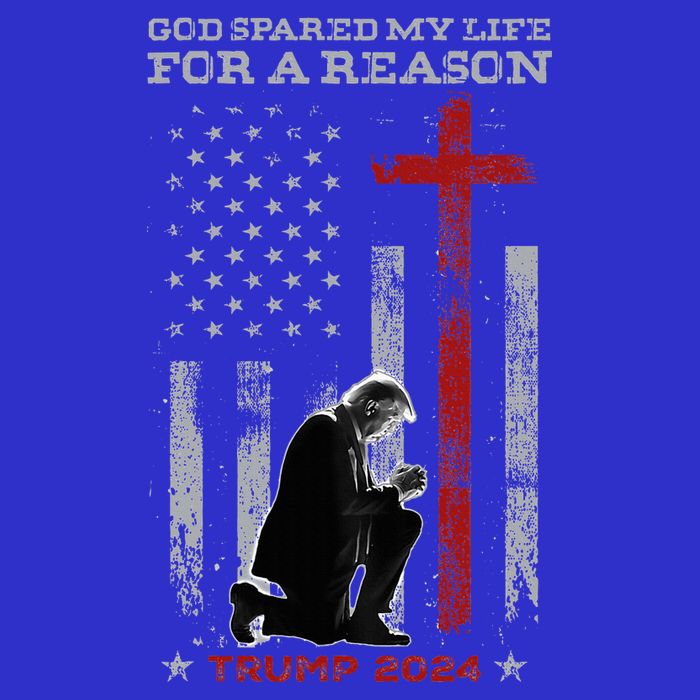 Trump God Spared My Life For A Reason Save Restore America Tall T-Shirt