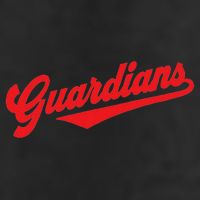 Team Guardians Adult Drive Performance Visor