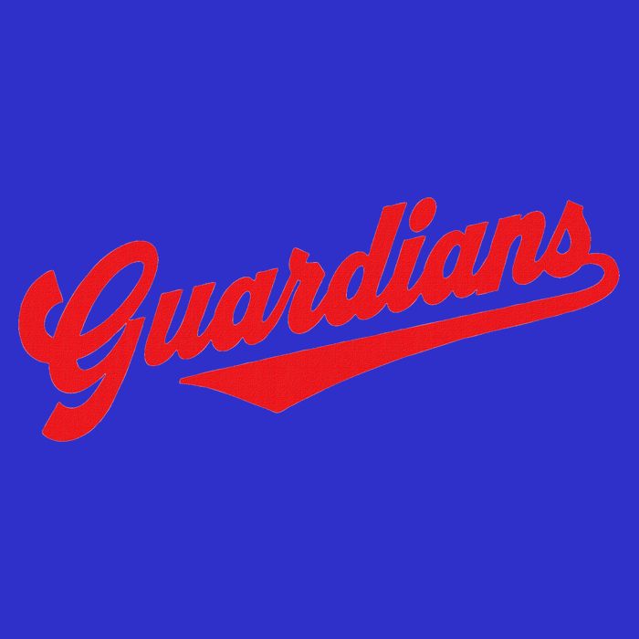 Team Guardians Mesh Reversible Basketball Jersey Tank