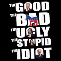 The Good The Bad The Ugly The Stupid The Idiot Politics Pom Pom 12in Knit Beanie