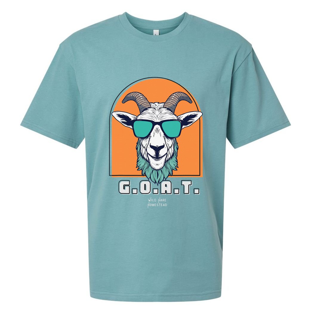 The Goat Sueded Cloud Jersey T-Shirt