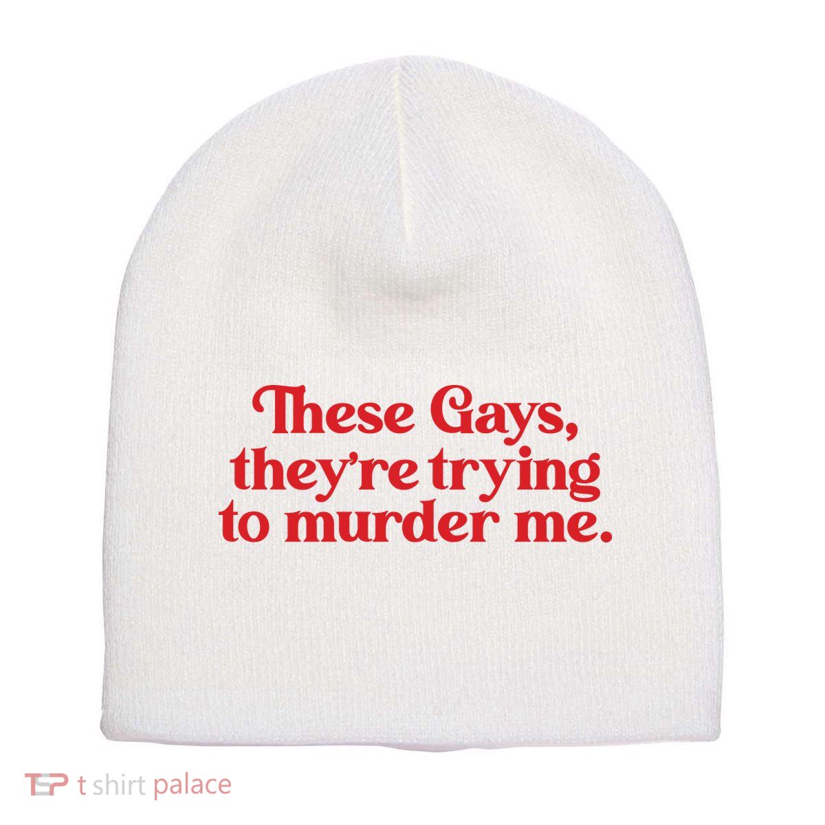 These Gays TheyRe Trying To Murder Me Short Acrylic Beanie