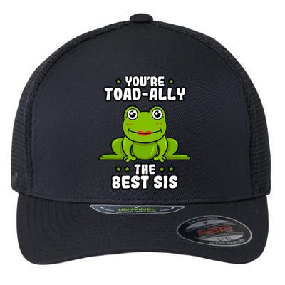 Toadfunny Giftally The Best Sis Frog Lover Toad Sister Cool Gift Flexfit Unipanel Trucker Cap