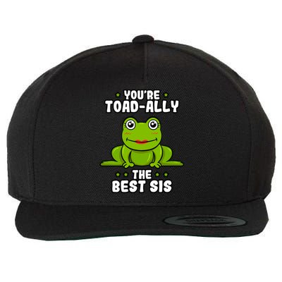 Toadfunny Giftally The Best Sis Frog Lover Toad Sister Cool Gift Wool Snapback Cap