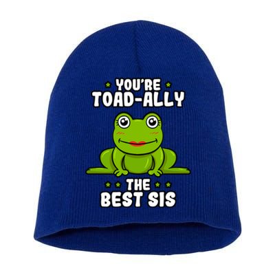 Toadfunny Giftally The Best Sis Frog Lover Toad Sister Cool Gift Short Acrylic Beanie