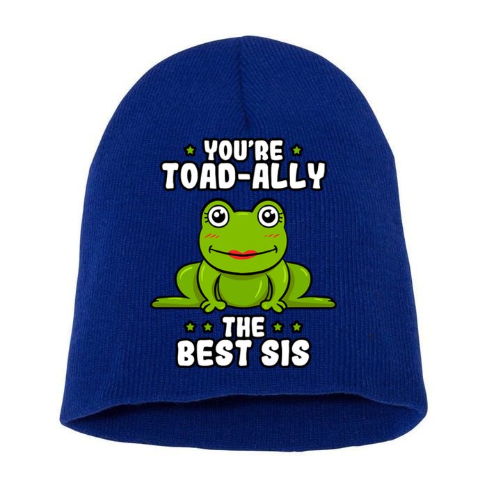 Toadfunny Giftally The Best Sis Frog Lover Toad Sister Cool Gift Short Acrylic Beanie