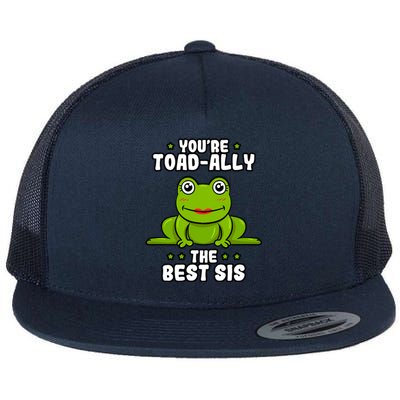 Toadfunny Giftally The Best Sis Frog Lover Toad Sister Cool Gift Flat Bill Trucker Hat