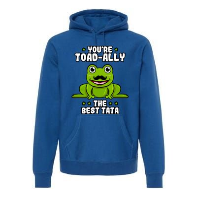 Toadfunny Giftally The Best Tata Frog Lover Toad Father Gift Premium Hoodie