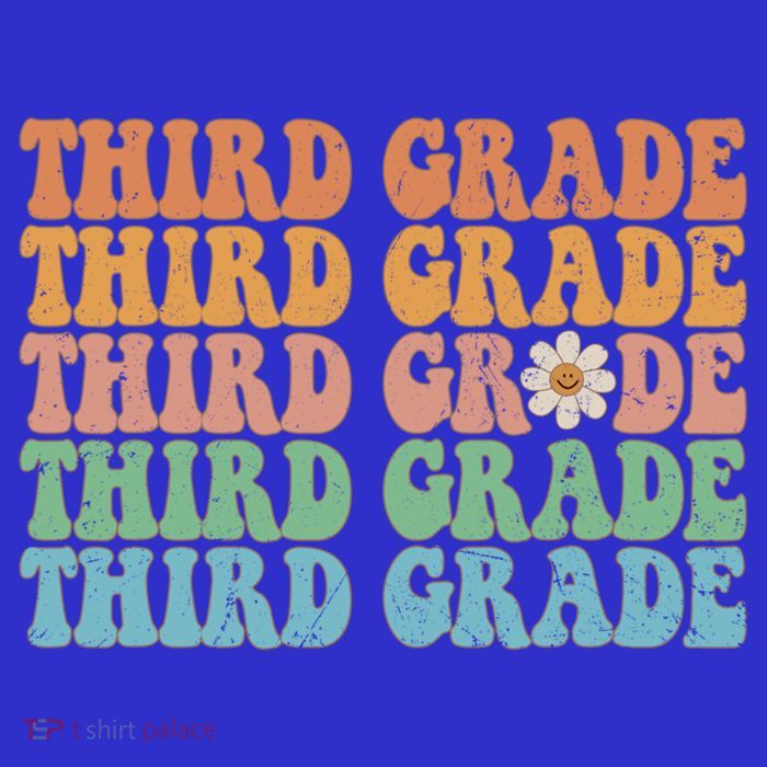 Third Grade Teacher Leopard Rainbow 3rd Grade Teacher Funny Meaningful Gift Premium T-Shirt