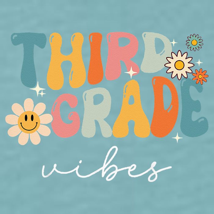Third Grade Vibes For 3rd Grade Teacher Sueded Cloud Jersey T-Shirt