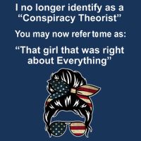 The Girl Who Was Right About Everything Conspiracy Theorist USA Garment-Dyed Heavyweight T-Shirt
