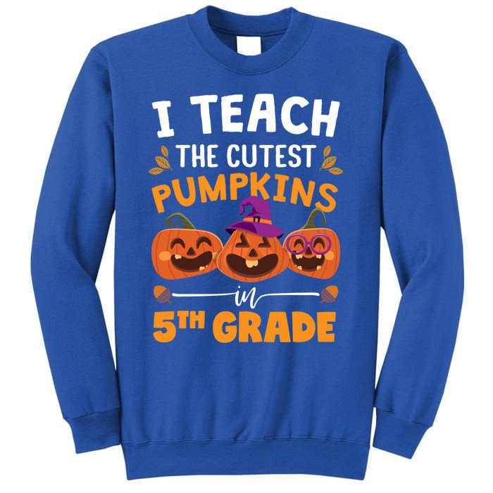 Teacher Halloween 5th Grade Teacher Cutest Pumpkins In Patch Cool Gift Sweatshirt