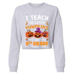 Teacher Halloween 5th Grade Teacher Cutest Pumpkins In Patch Cool Gift Cropped Pullover Crew